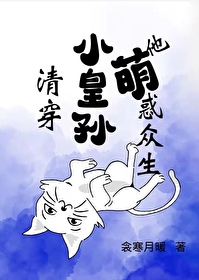 胎穿清朝小皇孙