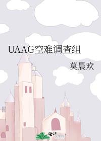 UAAG空难调查组TXT百度网盘