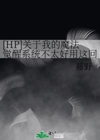 [HP]关于我的魔法觉醒系统不太好用这回事